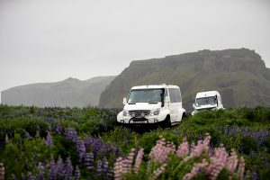 Lavafields in Iceland Offroad Trucks